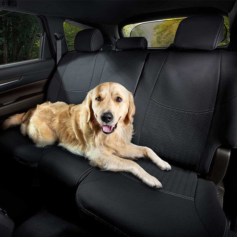 Keep Cool & Comfy with Our Rear Window Sun Shade
